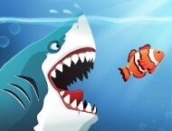 Angry Sharks